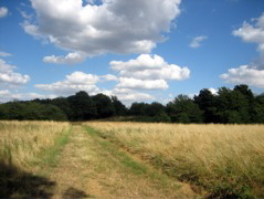 Woolwich Common