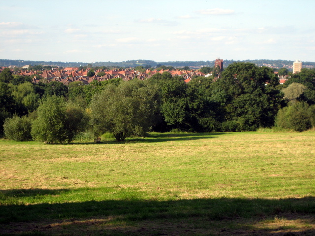 Coming down the hill