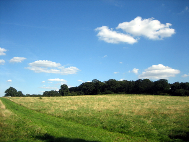 Fryent Country Park