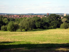 Coming down the hill