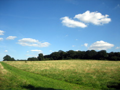 Fryent Country Park