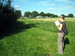 We are confused about the right direction