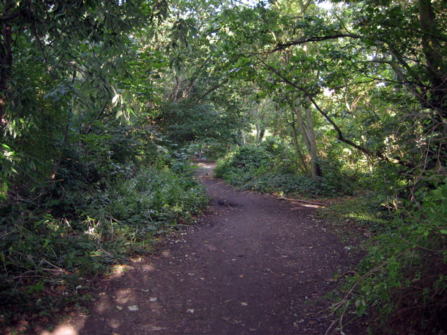 The Parkland Walk