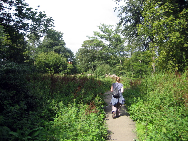 Along the River Brent