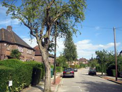 Hampstead Garden Suburb