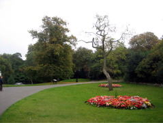 Springfield Park