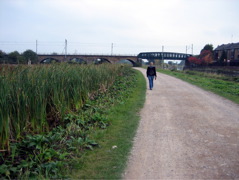 Alongside Walthamstow Marsh Nature Reserve