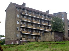Scenery on the New River Walk