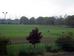 Rugby in the Shadow of the Dome