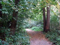 Beckenham Place Park