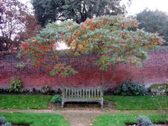 A Nice Resting Place