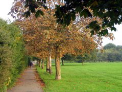 Beckenham Place Park