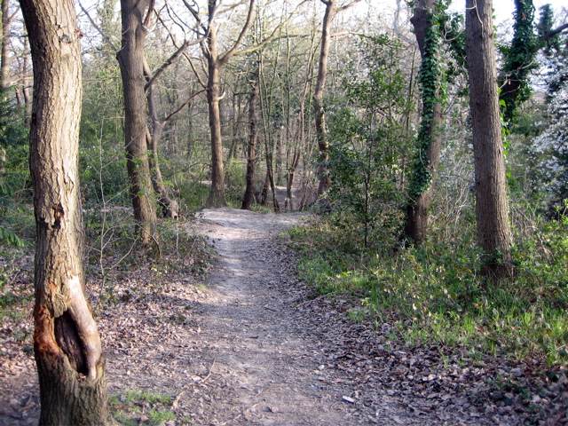 Biggin Wood