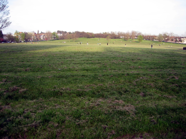 Streatham Common
