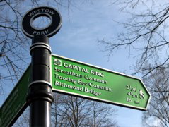 Obligatory Ring Sign