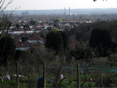 Allotments