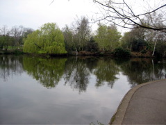Wandsworth Common