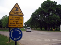 Scary alligator teeth