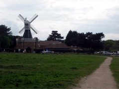 Wimbledon Common
