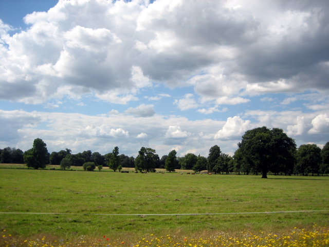 Grounds of Syon Park