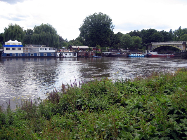 Still on the Thames