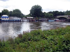 Still on the Thames
