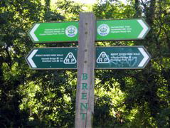 Ring Signpost