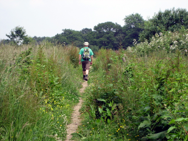 Back on the road (path)