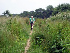 Back on the road (path)