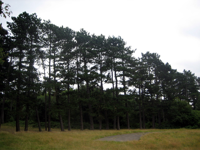 Moat Mount Open Space