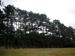 Moat Mount Open Space