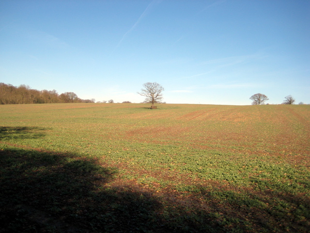 More Barren Winter Landscape