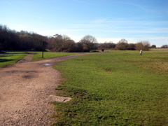 Still on Enfield Chase