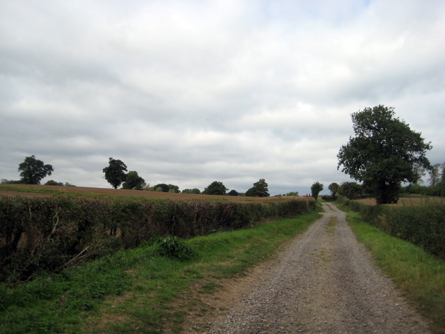 Part of Three Forests Way