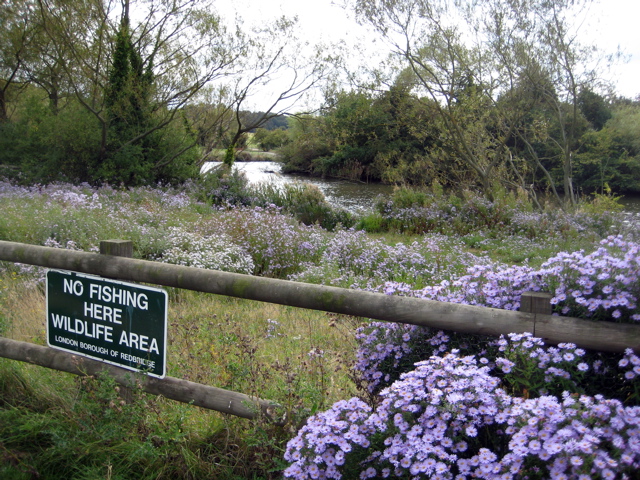 Lake - Hainault Country Park