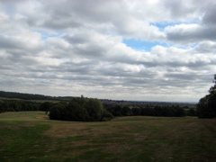 Still on the Golf Course