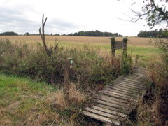 Quick brook crossing