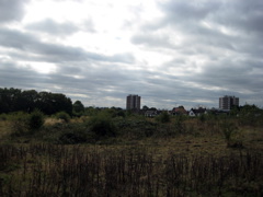 Tower blocks of Romford