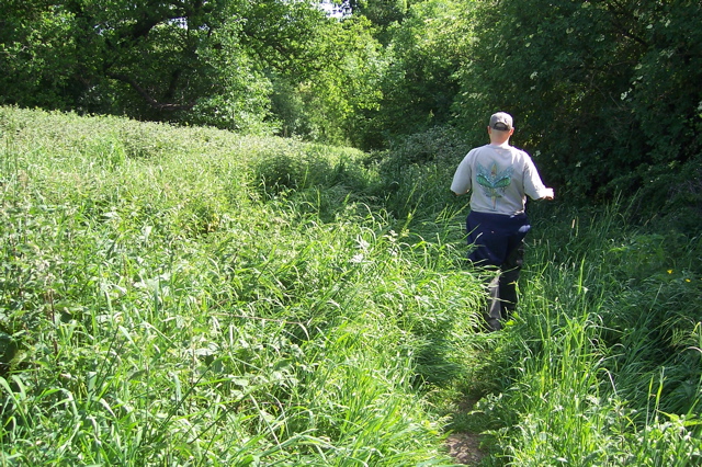 Scadbury Park is a bit wild!