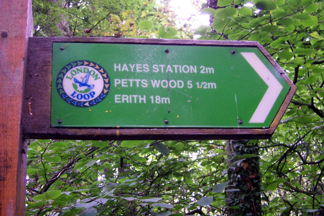 Where the loop came from.