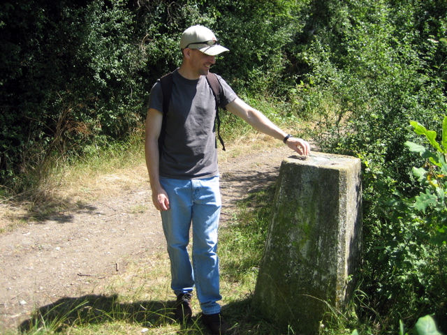 What the hell is this?