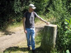 What the hell is this?