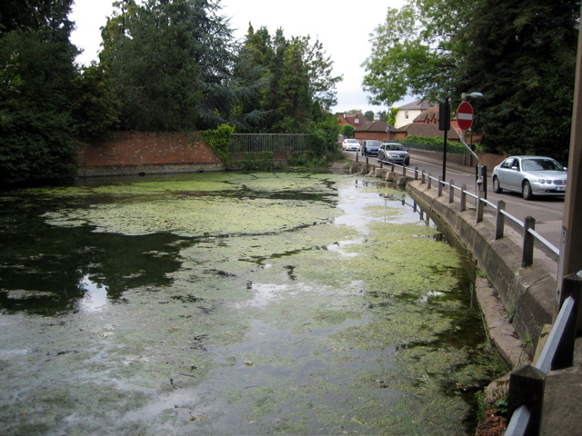 Source Springs of the river Hogsmill
