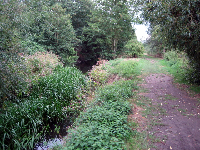 Still on the Hogsmill