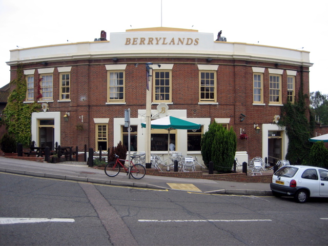 Glory of the Berrylands Pub