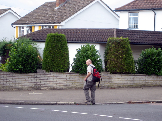 Tom is at home in the Suburbs