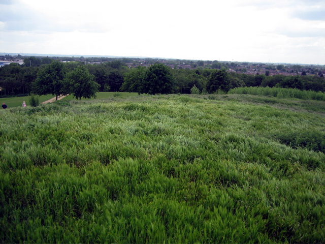 Stockley Country Park